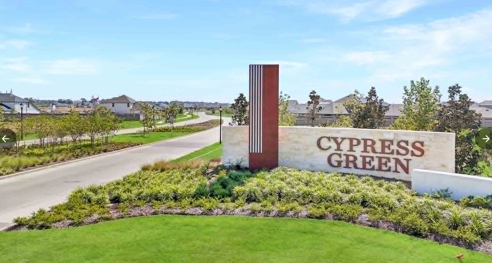 Cypress Green